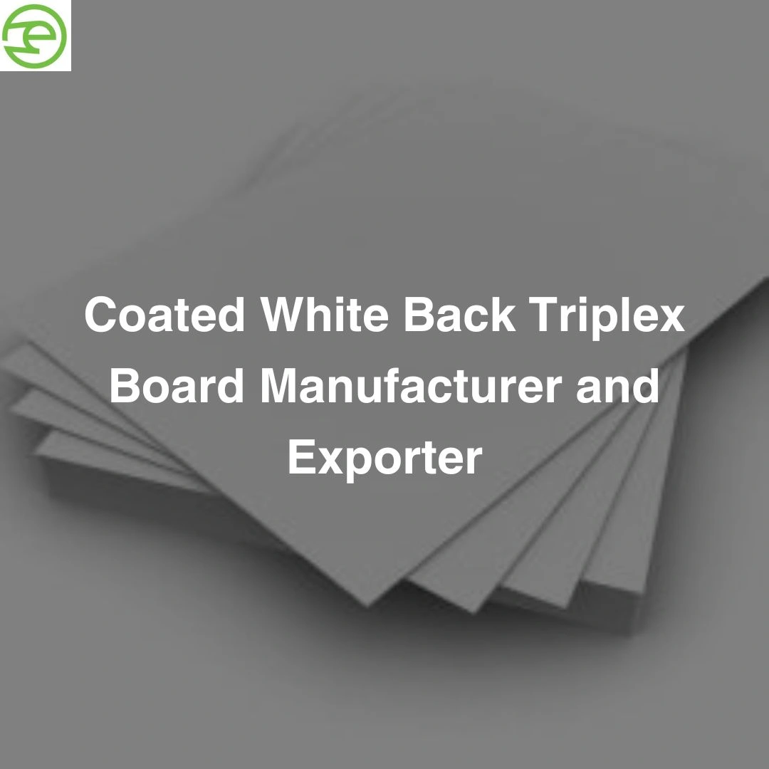 Coated White Back Triplex Board Manufacturer and Exporter