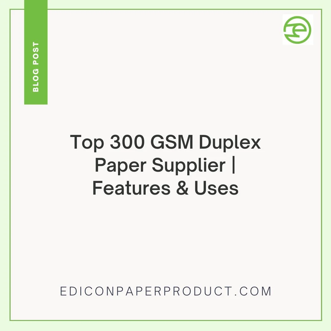 Top 300 GSM Duplex Paper Supplier | Features & Uses